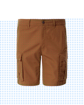 Man Short The North Face Anticline Cargo Utility Brown