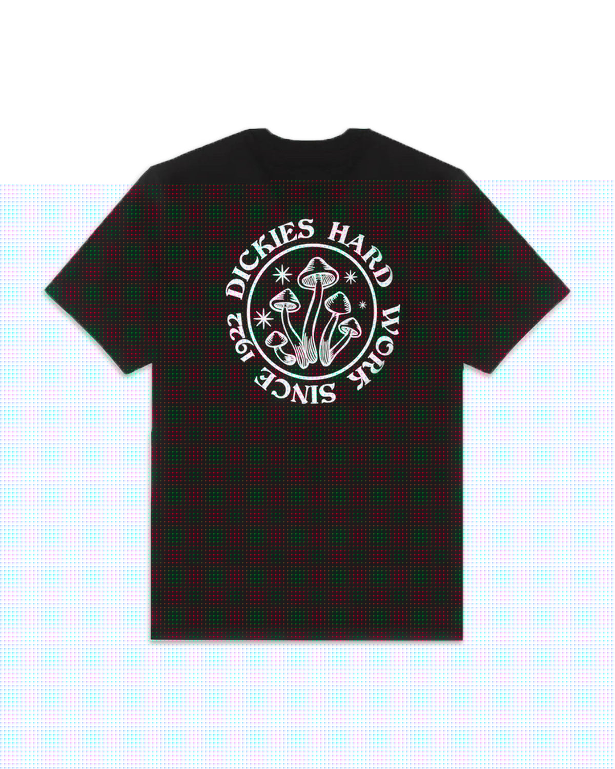 Man Tee Dickies Bayside Gardens Black