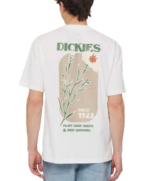 Man Tee Dickies Herndon White