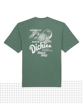 Man Tee Dickies Raven SS Dark Forest