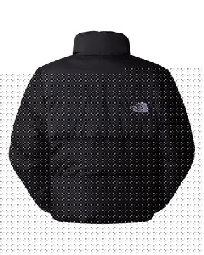 The North Face Cropped Saikuru Black