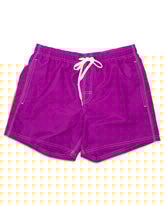 Boardshort Sundek Rainbow Trunks Violet