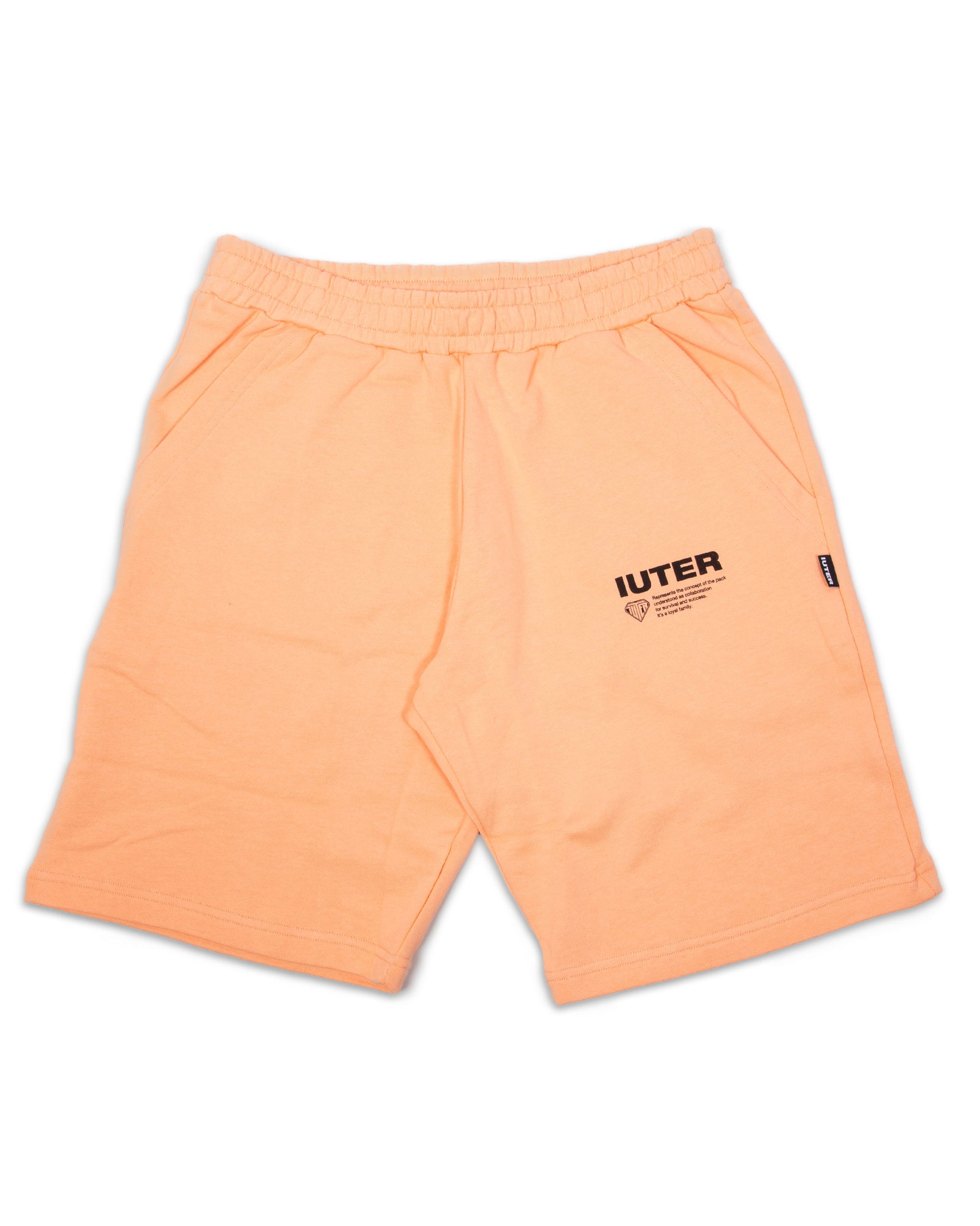 Info Sweatshort Man 22SISS09-Peach